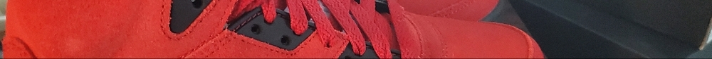 Jordan Raging Bull 5! - Picture 3 of 5